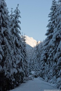 Vacances-Hiver-Savoie Vacances-Hiver-Savoie